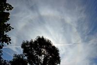 halo