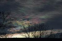Irisatsioon