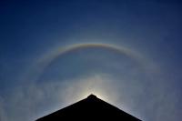 multihalo