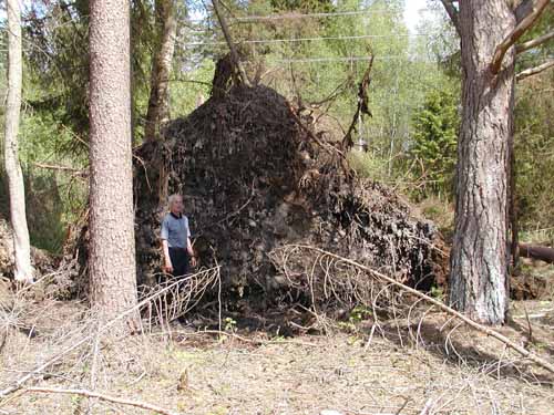 2003. aasta 26. mai trombi tagajÃ¤rjed (foto: VÃ¤ino Milt)
