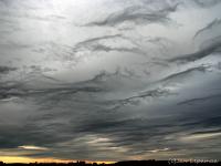 Undulatus Asperitas,