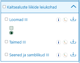 kuvalõige