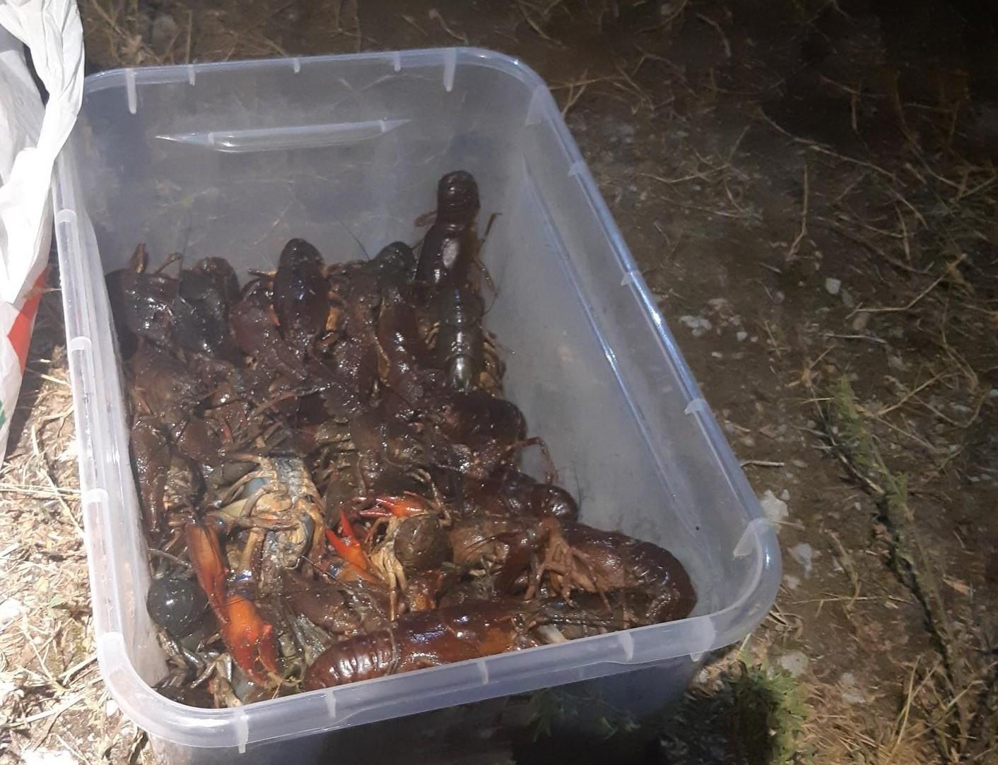 vähid plastikust kastis