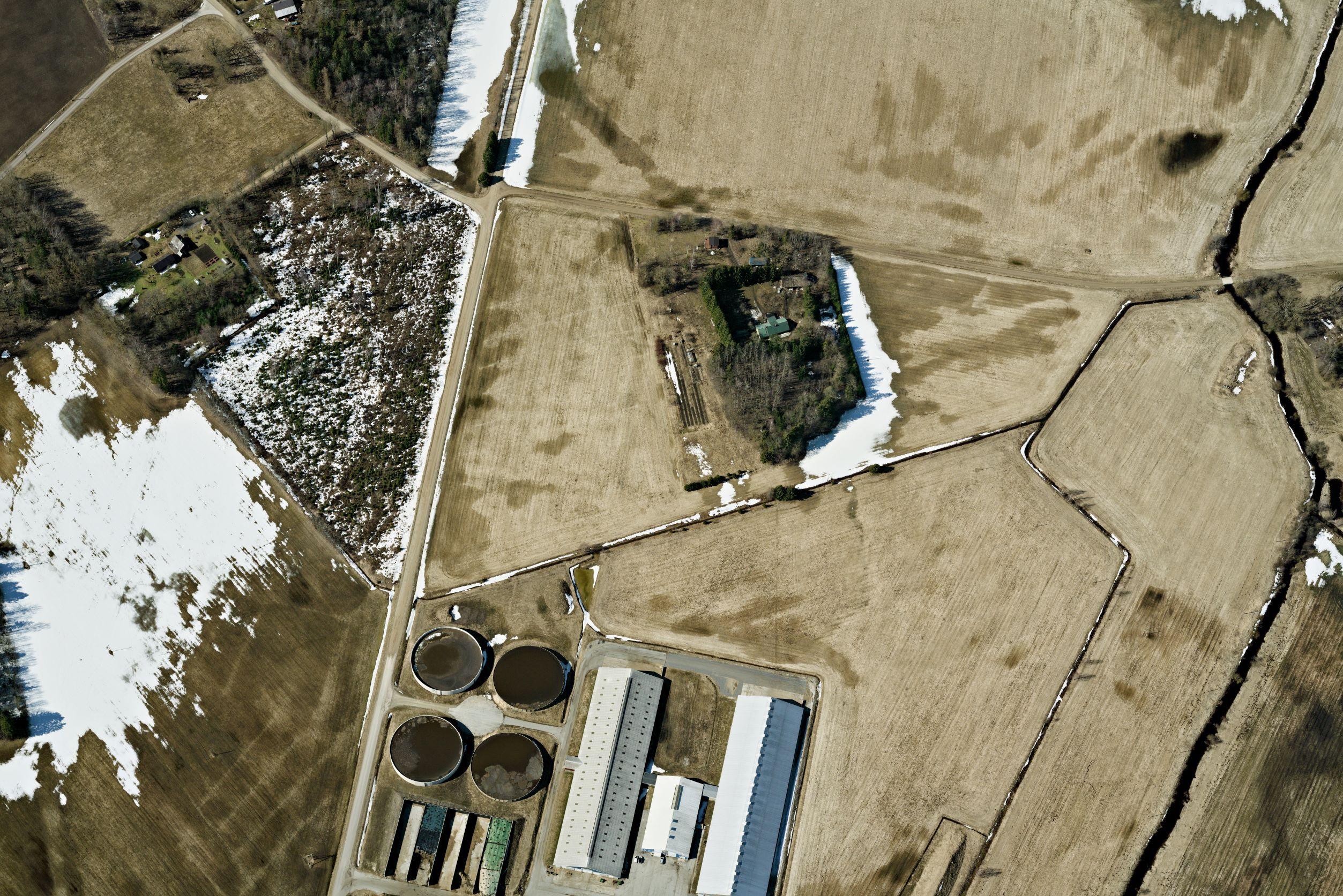 farmihooned