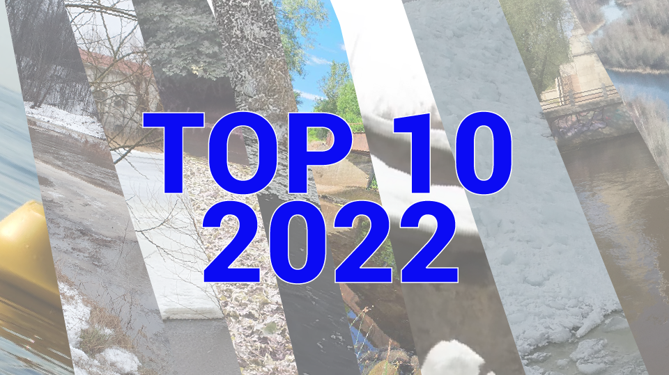kaanepilt kirjaga top 10 2022